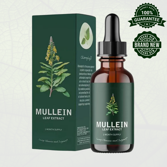 Mullein + Chlorophyll Lung Drops