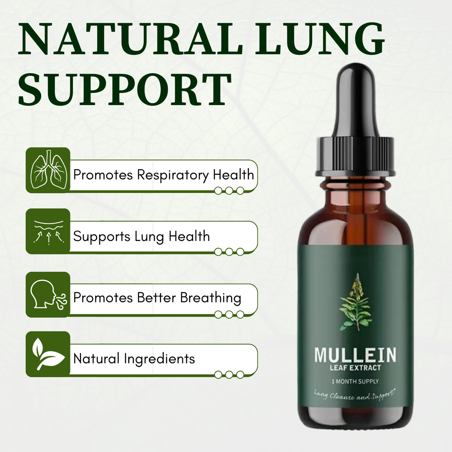 Mullein + Chlorophyll Lung Drops