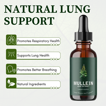 Mullein + Chlorophyll Lung Drops